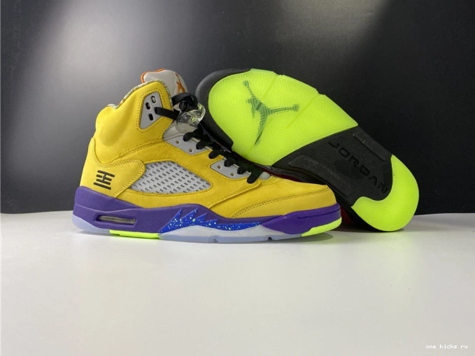 Chep Onekick 5 CZ5725-700 Jordan Retro What The 0710